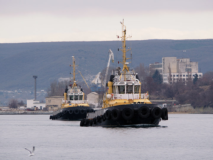 Рейдовые буксиры "РБ-389" и "РБ-412" Черноморского флота