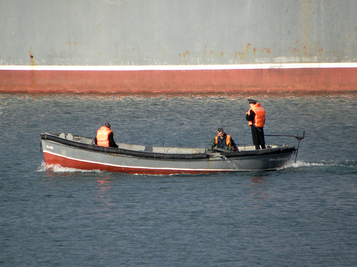 Корабельный рейдовый катер "РК-142" с БДК "Новочеркасск"
