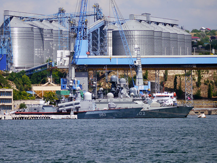 Ракетный катер "Р-239" в бухте Севастополя