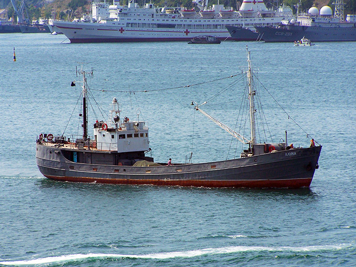 Морской рефрижераторный транспорт "Альма" в Севастопольской бухте
